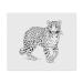 2 x 'Leopard' microfiber lens/glasses cleaning cloths (LC00024022)