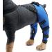 Pet Dog Knee Brace ACL Brace for Dogs Rear Leg Dog Braces for Back Leg for Support for Heals Prevents Injuries Sprains Blue Medium Medium Blue - Buy Online on SooperMarket.com