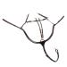 SUNRIDE Ascot Breastplate Made of Genuine Leather with Martingale - for Horses - Can be Used as 5-Point and 3-Point - Martingale Rings for Opening for Quick Threading of the Reins (Cob Brown) Cob brown