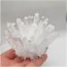 Home Decor 1pcs Natural Raw Quartz White Clear Crystal Cluster Stones Crystal Point Specimen Home Decoration Raw Crystals Mi Soothing Crystal Household Crystal Cluster (Size : 600-700g) - Buy Online on SooperMarket.com