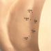 Human Body Model Acupuncture Pressure Points and Meridians 40cm - Buy Online on SooperMarket.com