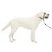 PetSafe Gentle Guide Collar with Training DVD Large Black