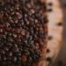 Buy Organic Black Quinoa | 1.8 kg | Premium Quality | Eco-Friendly | Plastic-Free Packaging - sssundclever.de - Buy Online on SooperMarket.com