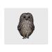 2 x 'Cute Owl' Microfiber Lens/Eyeglass Cleaning Cloths (LC00021041)