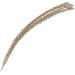 L'Oreal Paris Eyebrow Artist Xpert Pencil 101 Blonde - Define and Shape Your Brows - Buy Online on SooperMarket.com