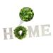 Alipis 1set Home Wall Hanging Decoration Eucalyptus Garlands Wall Adornment Indoor Do It Yourself - Buy Online on SooperMarket.com