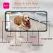 SKYMEE Petalk AI II Dog Camera Automatic Treat Dispenser 5G WiFi Full HD Pet Camera with 180 Pan Full-Room View Night Vision Two Way Audio for Dogs and Cats Compatible with Alexa (Support 5G WiFi) - Buy Online on SooperMarket.com