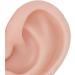 Flexible & Reusable Silicone Ear Model - 1 Pair Medium Skin Color for Ear Piercing Practice - Buy Online on SooperMarket.com