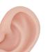 Silicone Ear Model - Medium Skin Color for Earrings Display and Piercing Practice - Buy Online on SooperMarket.com