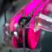 Muc Off X-3 Dirty Chain Machine - Ultimate Bicycle Chain Cleaning Device with 75ml Bio Drivetrain Cleaner - Buy Online on SooperMarket.com