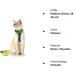 Supet Cat Dishes & Line Set - Perfect Feeding Solution for Kittens | International Shipping Available - Buy Online on SooperMarket.com