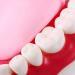 LBYLYH Standard Dental Lehling Model - Realistic Teeth Soft Chewing Gum & Tongue for Clinical Demonstrations - Easy to Use & Store - Buy Online on SooperMarket.com