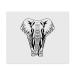2 x Microfiber Cleaning Cloths "African Elephant" (LC00024526)