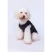 3-Pack Printed Dog Clothing - Princess & Prince T-Shirts for Small to Medium Dogs | Cute Pet Costumes (Blue XL) - Buy Online on SooperMarket.com