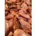 PAWS PARADISE 100 x QUALITY HEAVY BRITISH GRADE A PIGS EARS - Buy Online on SooperMarket.com