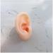 Ear Model - Soft Silicon Silicone Simulation Model of Acupuncture Ear Ear Picking Practice The Studs Earring Display Props - Buy Online on SooperMarket.com