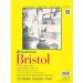 Strathmore 300 Series Bristol smooth 9 in. x 12 in. PACK OF 2