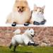 Anti Slip Dog Socks with Adjustable Strap for Indoor Traction Control - Black/Gray S (8 Pieces) - Buy Online on SooperMarket.com