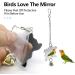 Bojafa Bird Toys For Budgie Parrot Toy - 10 Pack Hanging Budgies Play Stand Perch For Cage Natural Wooden Birds Swing Ladder Large Cockatiel Toy Accessories For African Grey Parrots Conure Parakeet - Buy Online on SooperMarket.com
