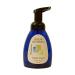 Defend Naturally Foam Soap