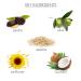 Whish Coconut Milk + Verbena Body Oil | Moisturizing Quick-Drying & Paraben-Free - Shop Internationally - Buy Online on SooperMarket.com