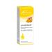 Pascoe Lymphdiaral Drops 50 mL Homeopathic remedy used to relieve symptoms of swelling inflammation and infection such as pain fever and swollen lymph nodes due to recurrent conditions including otitis media tonsillitis and sinusitis Calendula Dandelion A