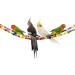 Ladder Bird Toys for Parrots and Small Pets - Wooden Cage Swing & Perch Trainning Toy with 10 Ladders - Buy Online on SooperMarket.com