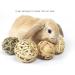 Camiter 9-Piece Chewing Toy Set for Small Animals | Hamsters Rabbits Guinea Pigs & More - Durable Chew Cases & Cube Toys - Buy Online on SooperMarket.com
