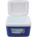 Insulin Cooler Box 5L Portable Insulin Cooling Travel Bin for Outdoor Medicition Food (Blue) - Buy Online on SooperMarket.com