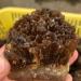 Crystal Natural Yellow Amber Calcite Rough Crystal Stone Collection Rough Rock Specimen Home Decor (Size : 60-100g) - Buy Online on SooperMarket.com