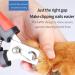 ZLXFT Nail Scissors for Dogs and Cats Rabbit Nail Scissors Stainless Steel Claw Clippers Claw Care Cutter for Pets Claw Care for Small Animals - Buy Online on SooperMarket.com