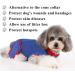 Emwel Dog Recovery Suit Recovery Shirt Abdominal Wound Protector for Large Dogs Puppy Medical Surgical Clothes blue L - Buy Online on SooperMarket.com