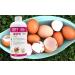 Premium Poultry Calcium Supplement for Bone Health & Egg Production-Chick N Egg from Chick N Swell Brand- for All Poultry. 500 ml- Makes 300 liters. - Buy Online on SooperMarket.com