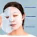 Facetory 23 Sheet Mask Collection - Hydrating, Moisturizing, Radiance Boosting | Made in Korea | Variety Pack of 23 Sheet Masks - For All Skin Types - Buy Online on SooperMarket.com