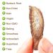 Plant Gift Burdock Root Tea 100g - Organic Non-Irradiated Sustainable Superfood for Weight Loss - Arctium Lappa L. - Buy Online on SooperMarket.com