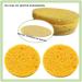 DENGWANG Turmeric Kojic Acid Pads Turmeric Kojic Acid Cleansing Pads Turmeric Exfoliating Pads Kojic Acid and Turmeric Cleansing Pads Turmeric Face Pads for Face (30PCS Yellow) 30PCS Yellow - Buy Online on SooperMarket.com