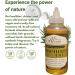 Rosemary Oil 170ml - Handcraft 100% Pure and Natural Rosemary Essential Oil Undiluted Rosemary Oil for Hair Skin and Nails - Cleansing Enhanced Shine and Dry Scalp Treatment - Buy Online on SooperMarket.com