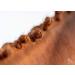 Animalon Mane Gum for Horses | Tear-Resistant Silicone Mane Accessories | 300 Pieces | Ideal for Horse Hairstyles and Grooming - Buy Online on SooperMarket.com
