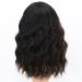 Colorfulpanda Short Black & Brown Wigs for Women - 14 Inch Synthetic Hair Ponytail for Party & Cosplay - Buy Online on SooperMarket.com