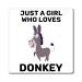 Hilarious Horseback Riding Horses Foal Donkey Enthusiast Humorous Racehorse Town Country Eohippus Lover Magnets 4" 4"