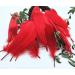 100pcs Red Goose Feathers 6-8 Inch - Ideal for Crafts, Wedding Decor, Clothing Accessories - Buy Online on SooperMarket.com