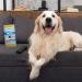 Gonzo Pet Hair Lifter - Remove Dog & Cat Hair from Furniture, Carpet & Clothing - Buy Online on SooperMarket.com