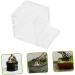 BESPORTBLE Pet Water Feeder Insect Water Bowl Clear Ants Feeder Ants Farm Accessory Ants Watering Cup Plastic - Buy Online on SooperMarket.com