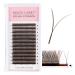 dark brown YY Eyelash Extension Lashes D Curl 0.07mm  8-15mm Faux Mink Cluster Lash Extensions Soft Y Lashes Extensions Premade (8-15MM  0.07-D dark brown) dark brown/0.07D/8-15mm