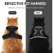 Breakproof Cat Leash Set & Adjustable Soft Kitten Vest - Reflective Stripes Black XS - Perfect for Small Kittens - Buy Online on SooperMarket.com