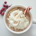 Christmas 2022 Old Fashion Soft Peppermint Sticks Hot Chocolate Edible Stir Stick and Accessories 11.5 Ounces Pack of 2 - Buy Online on SooperMarket.com