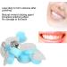 20PCs Professional Dental Polishing Cream - Safe & Effective Tooth Protection | Super White Oral Care (Blue) - Buy Online on SooperMarket.com