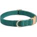 YUDOTE Ultra-Soft Dog Collar for Medium Dogs with Sensitive Skin - Natural Cotton Cord Green M (1 Pack) - Perfect Comfort for Your Pet - Buy Online on SooperMarket.com