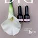 Didier Lab Premium Milky Pink Builder Gel 10ml - Nail Strengthener & Extension in a Bottle - LED UV Builder Gel for Nail Repair & Hardening - Ideal with Nail Forms - Buy Online on SooperMarket.com