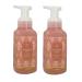 Bath & Body Works Bath and Body Works Wild Flower Rose Gentle Foaming Hand Soap 8.75 Ounce 2-Pack (Wild Rose) 1 pounds 17.5 Ounce Wild Flower Rose 8.75 Ounce
